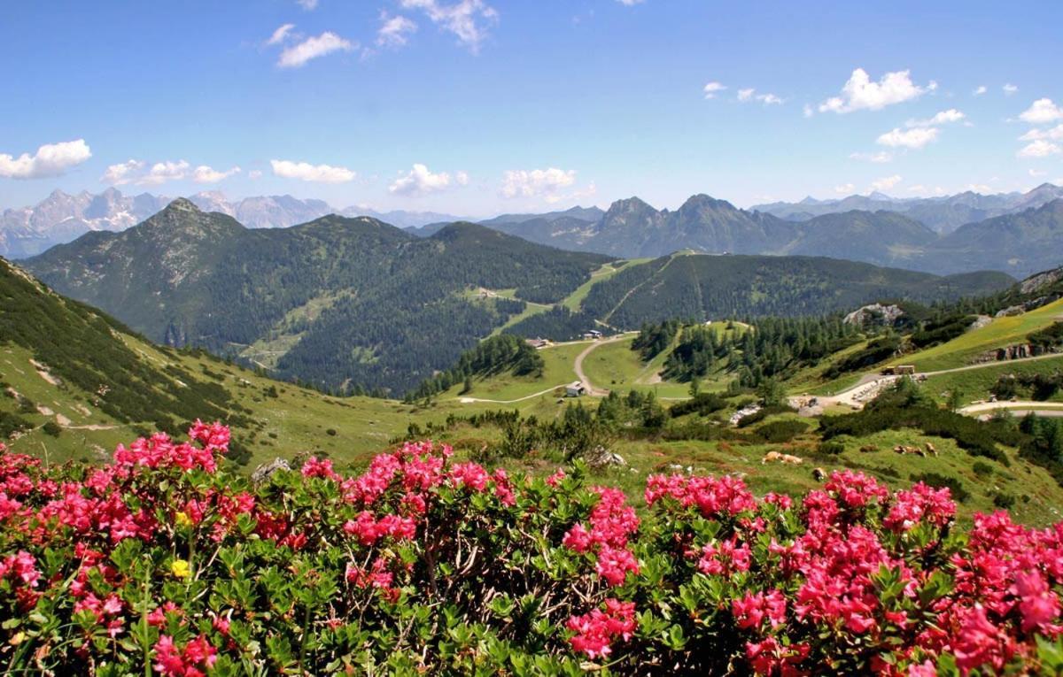 Vorderwiesgut Altenmarkt im Pongau Exteriör bild