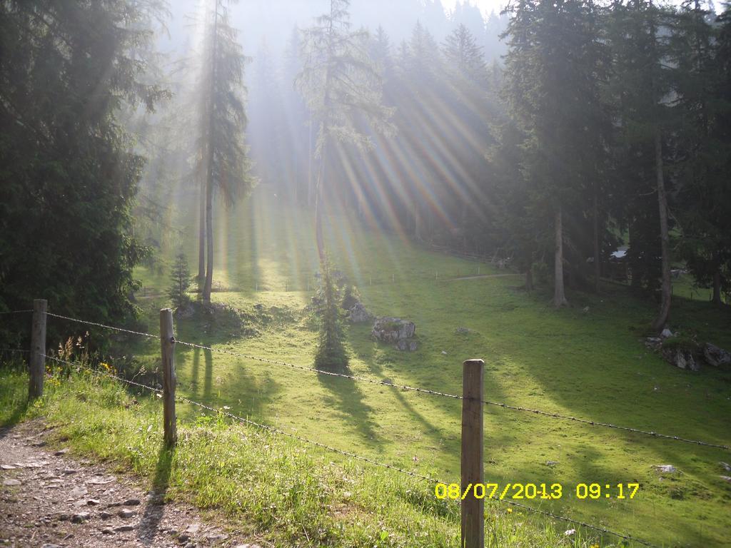 Vorderwiesgut Altenmarkt im Pongau Exteriör bild
