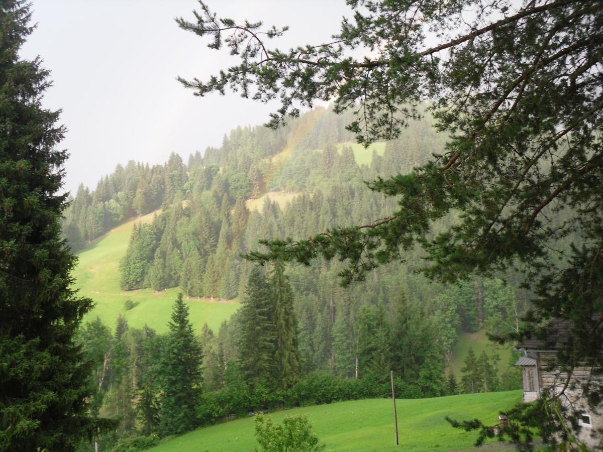 Vorderwiesgut Altenmarkt im Pongau Exteriör bild