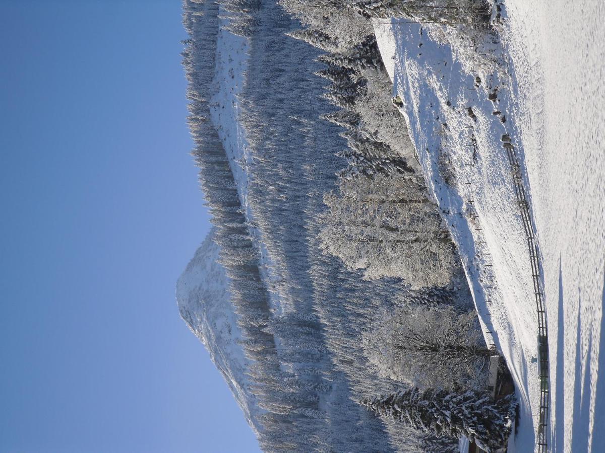 Vorderwiesgut Altenmarkt im Pongau Exteriör bild